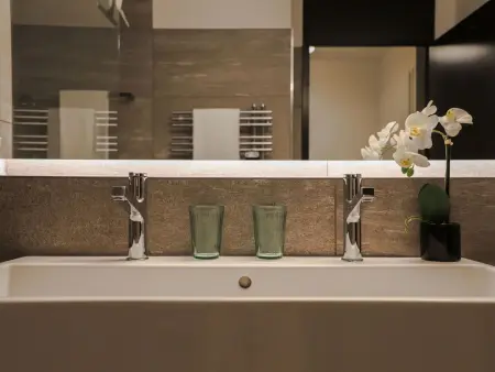 Allod Park Haus C 705, Appartement 4 personnes à Davos - Photo 13