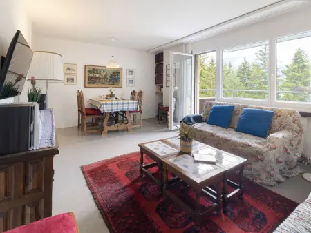 Allod Park Haus C 501, Appartement 4 personnes à Davos - Photo 8