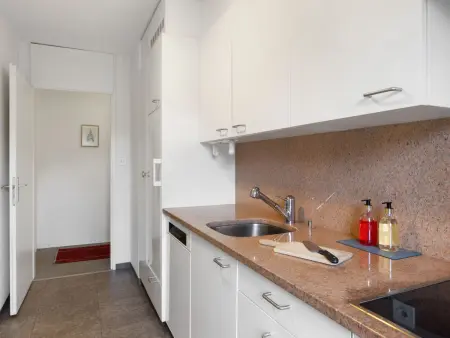 Allod Park Haus C 501, Appartement 4 personnes à Davos - Photo 10