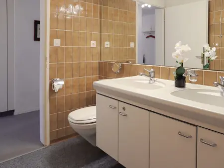 Allod Park Haus C 501, Appartement 4 personnes à Davos - Photo 16