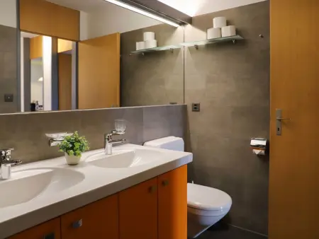 Allod Park Haus C 305, Appartement 4 personnes à Davos - Photo 11