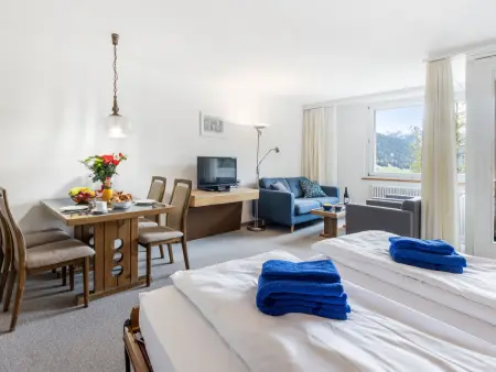 Parkareal Apt 703, Appartement 4 personnes à Davos - Photo 9