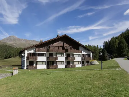 Chesa Linaria, Appartement 4 personnes à Silvaplana Surlej - Photo 28
