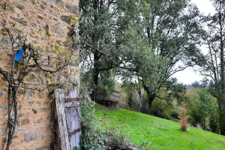 16 Chez Rambaud, Gite 5 personnes à Les Salles Lavauguyon - Photo 24