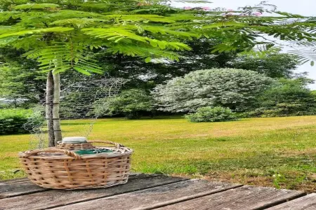 16 Chez Rambaud, Gite 5 personnes à Les Salles Lavauguyon - Photo 27