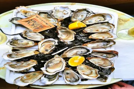 16 Chez Rambaud, Gite 5 personnes à Les Salles Lavauguyon - Photo 32