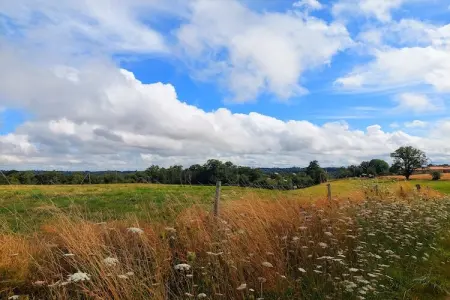 16 Chez Rambaud, Gite 5 personnes à Les Salles Lavauguyon - Photo 34