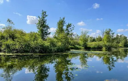 Joli chalet dans la Somme, Maison 6 personnes à Hem Monacu - Photo 7