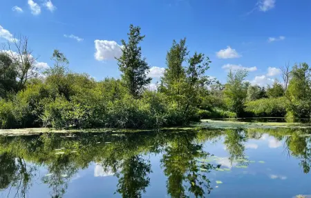 Joli chalet dans la Somme, Maison 6 personnes à Hem Monacu - Photo 26