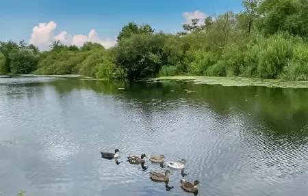 Joli chalet dans la Somme, Maison 6 personnes à Hem Monacu - Photo 27