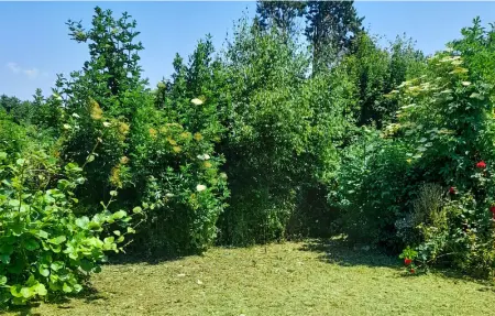 Joli chalet dans la Somme, Maison 6 personnes à Hem Monacu - Photo 28