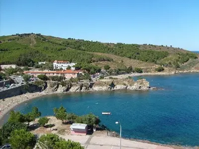 Appartement à Banyuls sur Mer, Agréable studio à 250m de la plage avec loggia, animaux acceptés et parking privatif - L959221