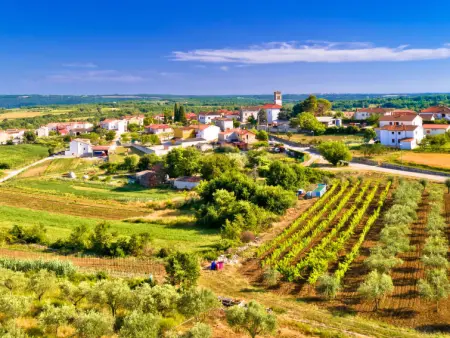 Vigneto, Villa 15 personnes à Buje Brtonigla - Photo 36