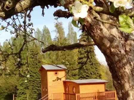 Chalet unique au cœur de la nature avec animaux acceptés - Photo 8