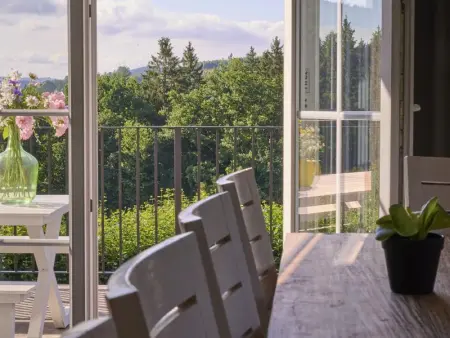 Sur les Thiers, Maison 20 personnes à Lierneux - Photo 1