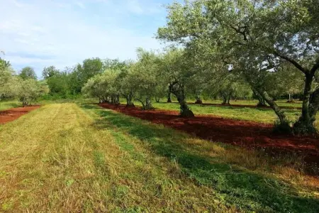 Villa Jerolim, Villa spacieuse proche mer à Slivnica - Photo 35