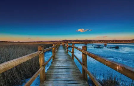 Location Appartement 5 personnes à Benkovac - Photo 22