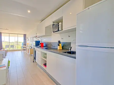 Studio  La vie est belle  - Piscine, Plage d'Orient Baie, Confort et Calme à Mont Vernon - Photo 9