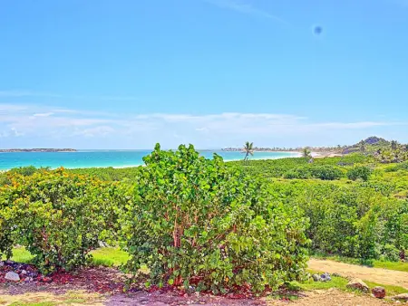 Studio  La vie est belle  - Piscine, Plage d'Orient Baie, Confort et Calme à Mont Vernon - Photo 13
