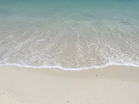 Studio  Cherry  à Mont Vernon - Confort, Piscine et Proximité Plage à Marigot, St Martin - Photo 20