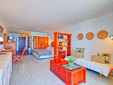 Studio avec Terrasse, Piscine Commune et Climatisation à Saint-Martin - Photo 8