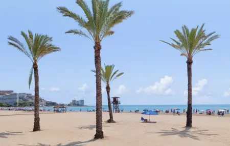 Location Appartement 4 personnes à Cullera - Photo 7