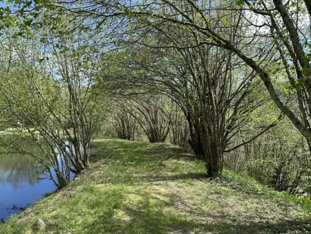 Gîte tranquille avec poêle à bois et activités nature - Photo 15