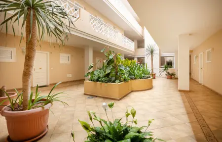 Location Appartement 4 personnes à Puerto de la Cruz - Photo 10