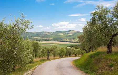 Location Maison 14 personnes à Castiglione Del Lago - Photo 49