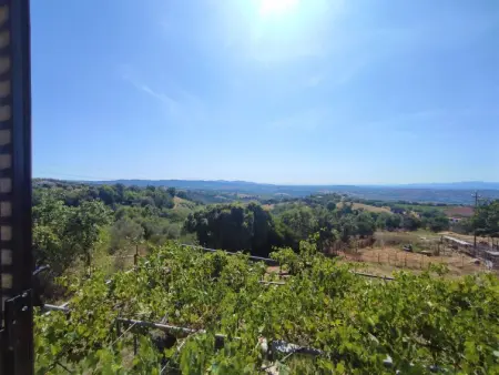 Country House, Maison 6 personnes à Scansano - Photo 25