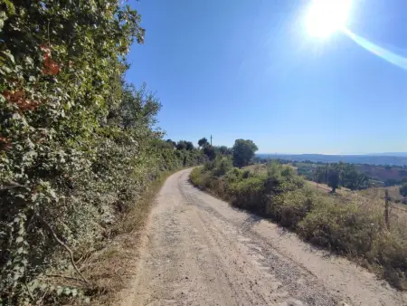 Country House, Maison 6 personnes à Scansano - Photo 29