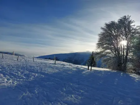 Gîte Vosgien Rénové avec Jardin, Proche Gérardmer et Activités de Plein Air - Photo 17