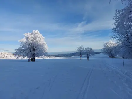 Gîte Vosgien Rénové avec Jardin, Proche Gérardmer et Activités de Plein Air - Photo 19