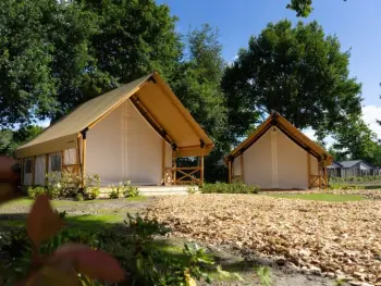 Limburg, Haus in Mol, Glampingtent Kiezel Lodge 4 BE2400.411.1 N°962633