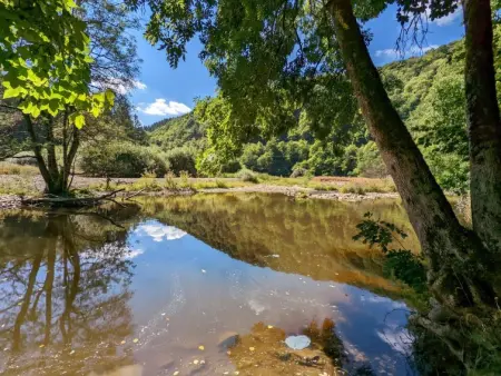 Silvanus, Maison 4 personnes à Eisenbach - Photo 10