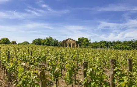 Location Maison 8 personnes à Jarnac - Photo 26