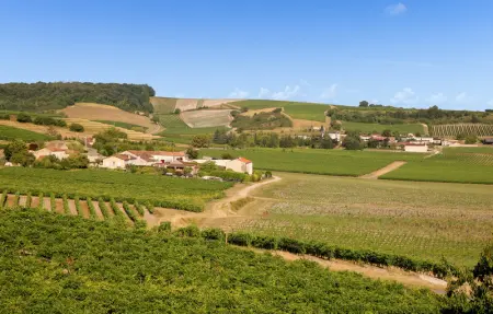 Location Maison 8 personnes à Jarnac - Photo 27