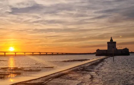 Location Maison 8 personnes à Jarnac - Photo 29