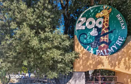 Location Maison 8 personnes à Jarnac - Photo 31