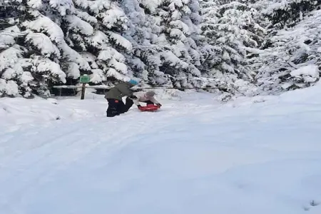 Haus Hunnenberg 2, Maison 8 personnes à Büllingen - Photo 35