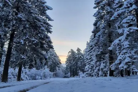 Haus Hunnenberg 2, Maison 8 personnes à Büllingen - Photo 36