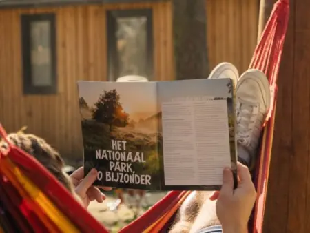 Papendaal lodge 6 Glampingtent, Maison 6 personnes à Genk - Photo 5