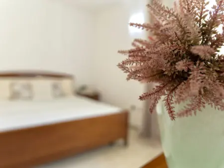 La Beddha, Appartement 5 personnes à Palau - Photo 30