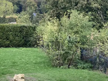Maison spacieuse à Buzancy avec terrasse et jardin, animaux admis - Photo 24