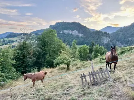 Chalet cosy rénové, 4 chambres, terrasse, wifi, parking, près village et ski-bus - Photo 18