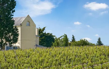 Location Maison 8 personnes à Anché - Photo 19