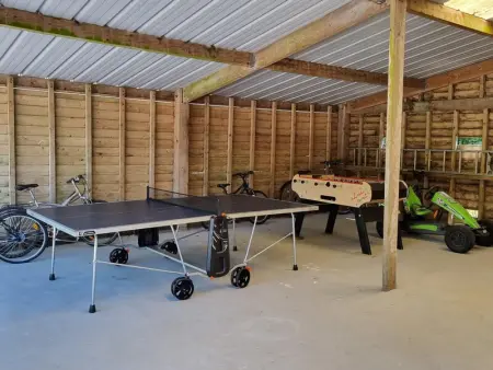 Maison indépendante avec cheminée et animaux acceptés près de la nature - Photo 8