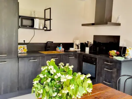 Maison indépendante avec cheminée et animaux acceptés près de la nature - Photo 18