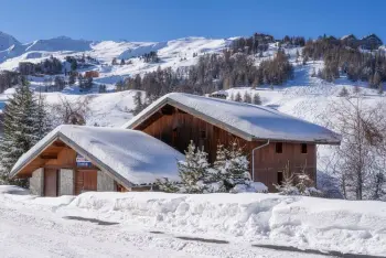 Chalet a La Plagne,Chalet Sporting Lodge FR-73210-221 N°966794