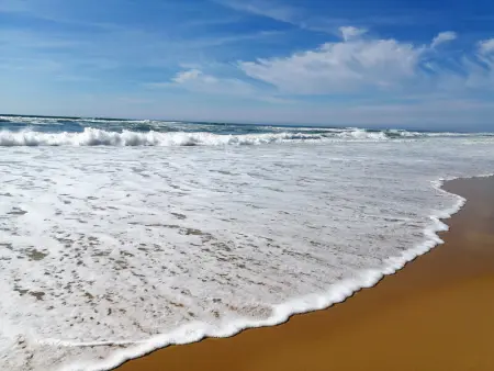 Appartement lumineux à 4 min de la plage avec terrasse, parking privé et WIFI ! - Photo 22